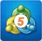 MT5指标